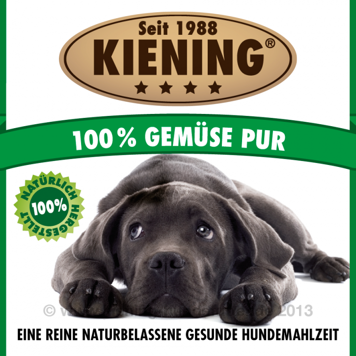 Kiening Dog 100% Gemüse pur 12 x 410 g
