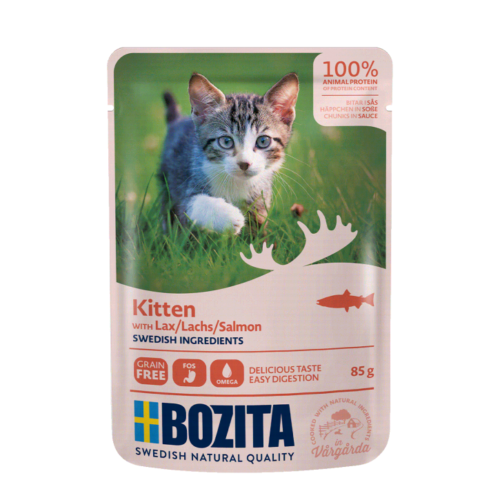 Bozita Cat Kitten Häppchen in Sauce mit Lachs 12 x 85 g