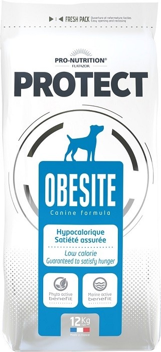Flatazor Protect Obésité 12 kg (SPARTIPP: unsere Staffelpreise)