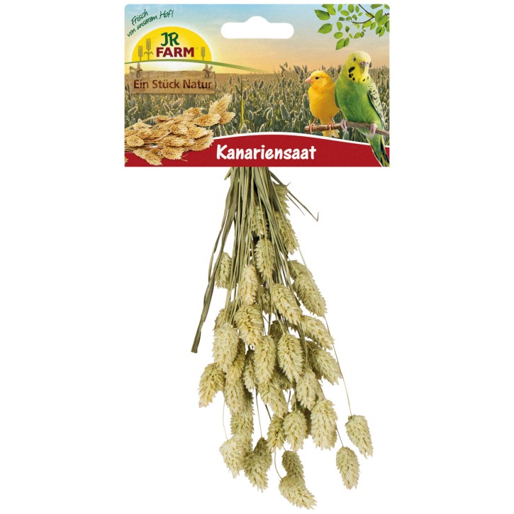 JR Farm Birds Kanariensaat 8 x 20 g