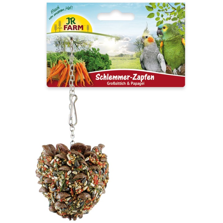 JR Farm Birds Schlemmer Zapfen Großsittich & Papagei 4 x 195 g