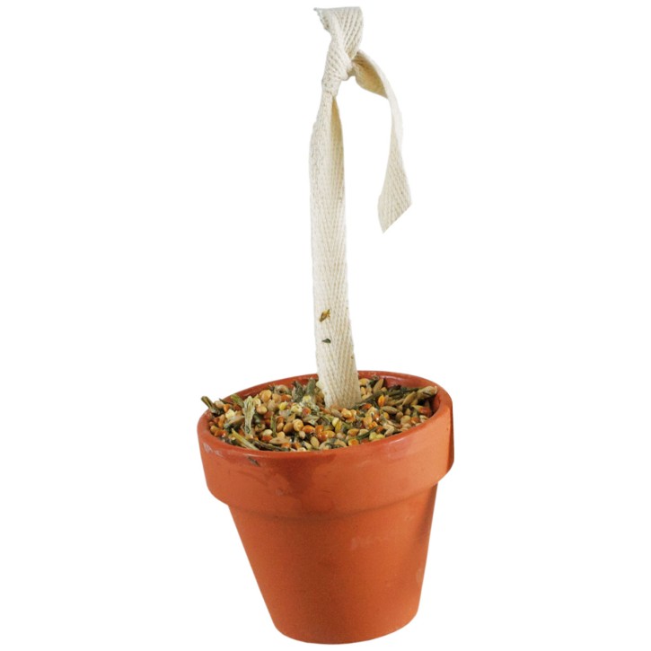 JR Farm Birds Tontöpfchen Wellensittich & Kanarien 6 x 80 g