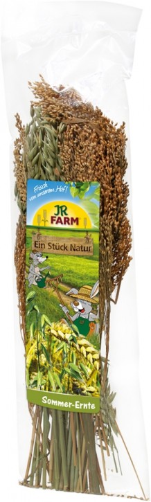 JR Farm ESN Sommer Ernte 10 x 80 g