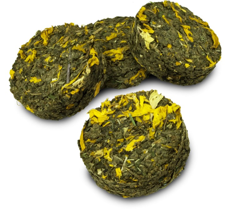 JR Farm Grainless Kräuterolis Löwenzahn und Sonnenblume 10 x 70 g