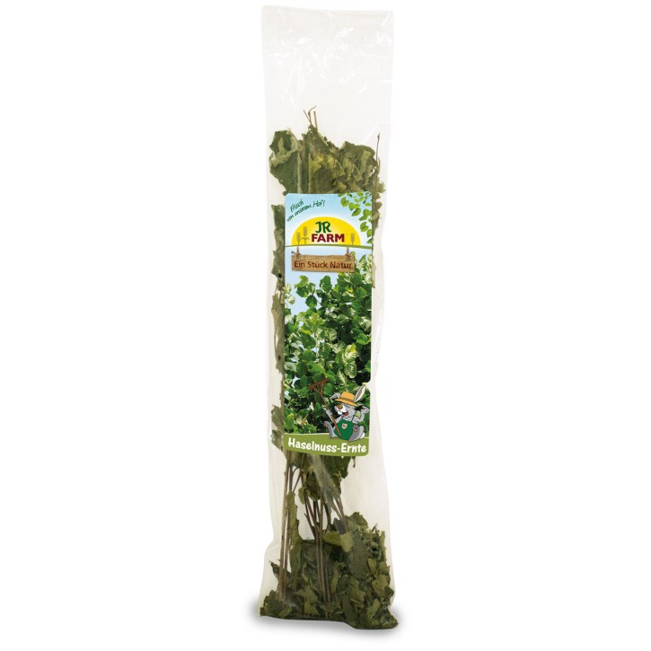 JR Farm Haselnuss Ernte 10 x 40 g