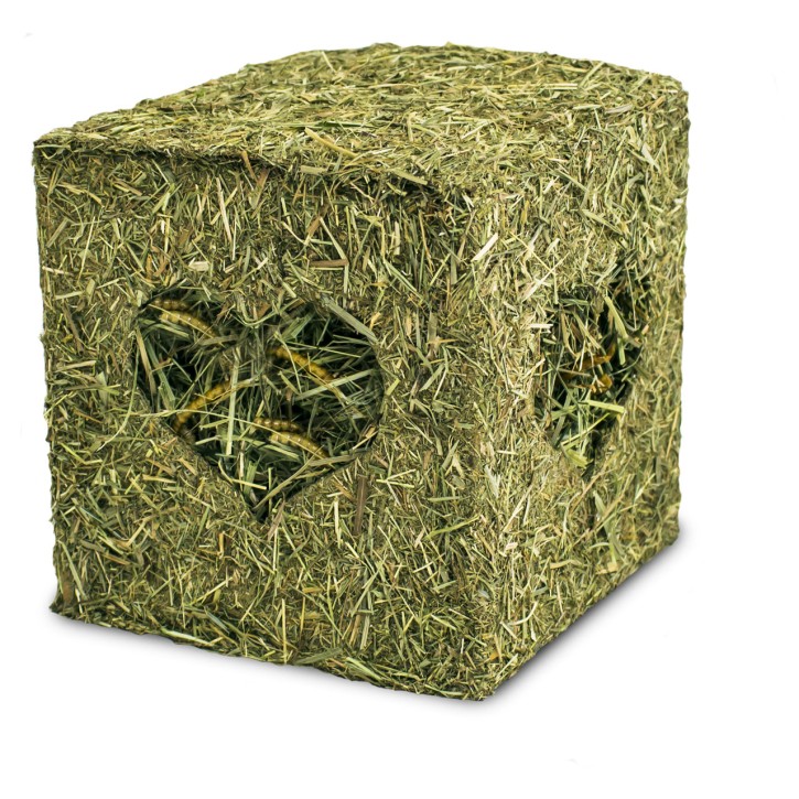 JR Farm Heu Würfel klein mit Mehlwürmern 6 x 125 g