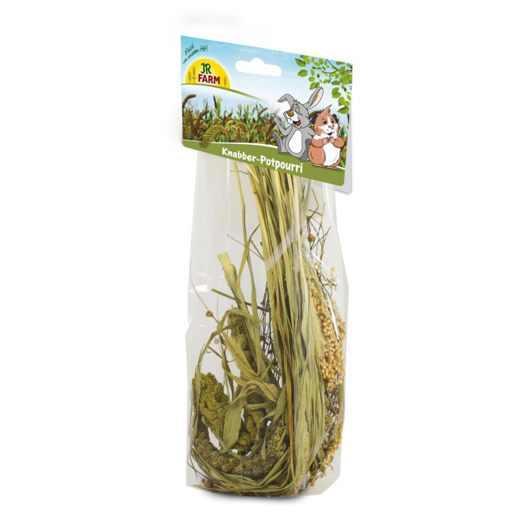 JR Farm Knabber Potpourri 10 x 50 g