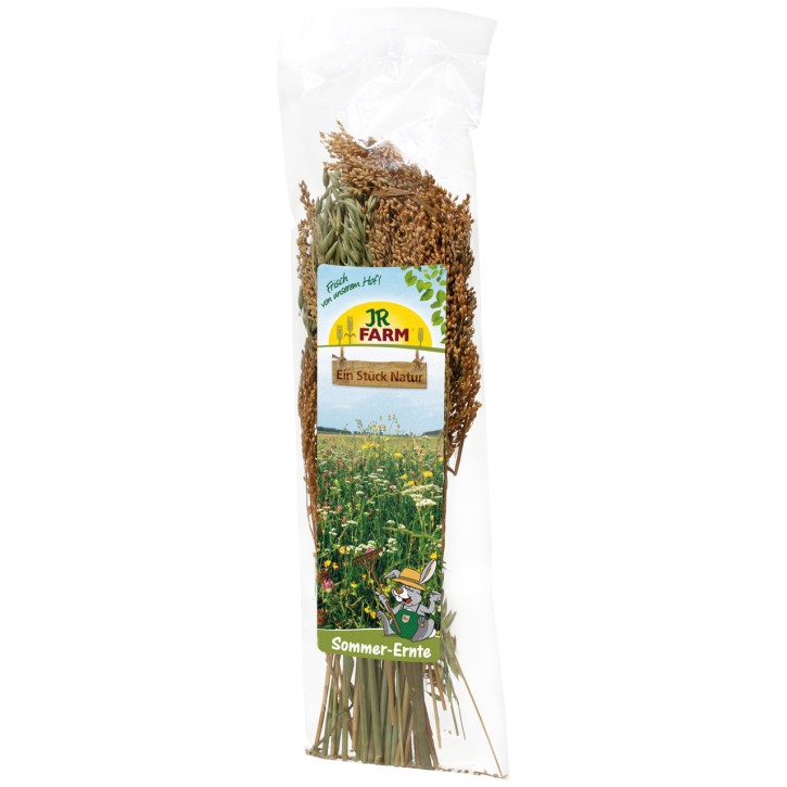 JR Farm Sommer Ernte 10 x 80 g