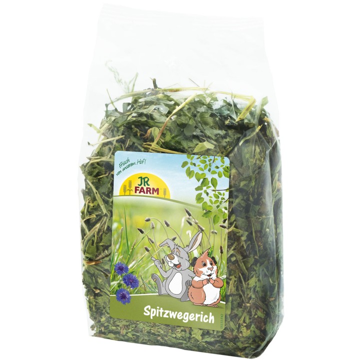 JR Farm Spitzwegerich 6 x 100 g
